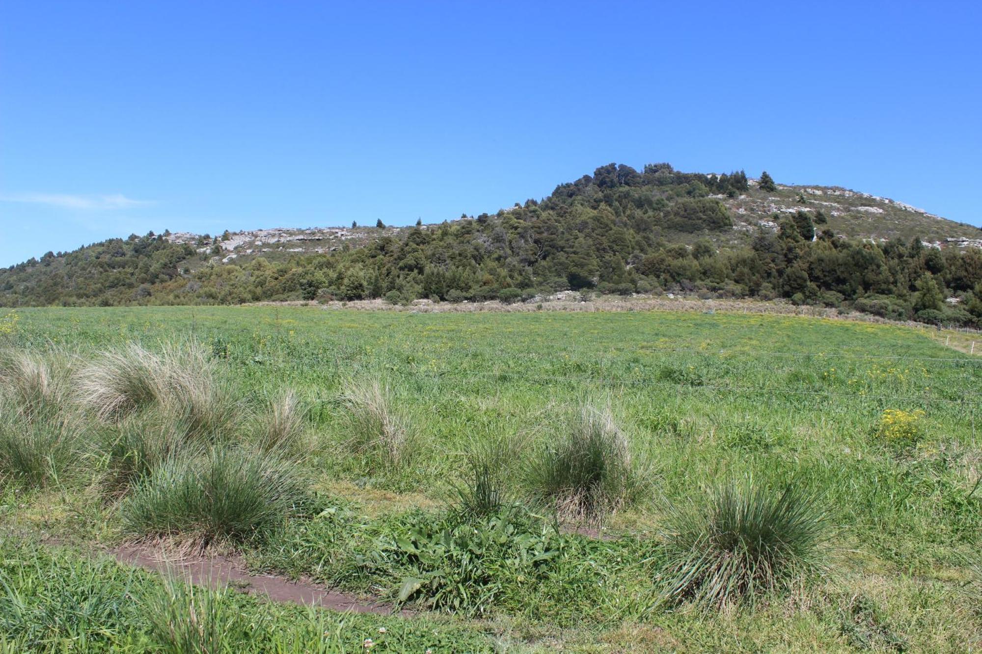 Chalet En Reserva Natural Paititi سييرا دي لوس بادريس المظهر الخارجي الصورة
