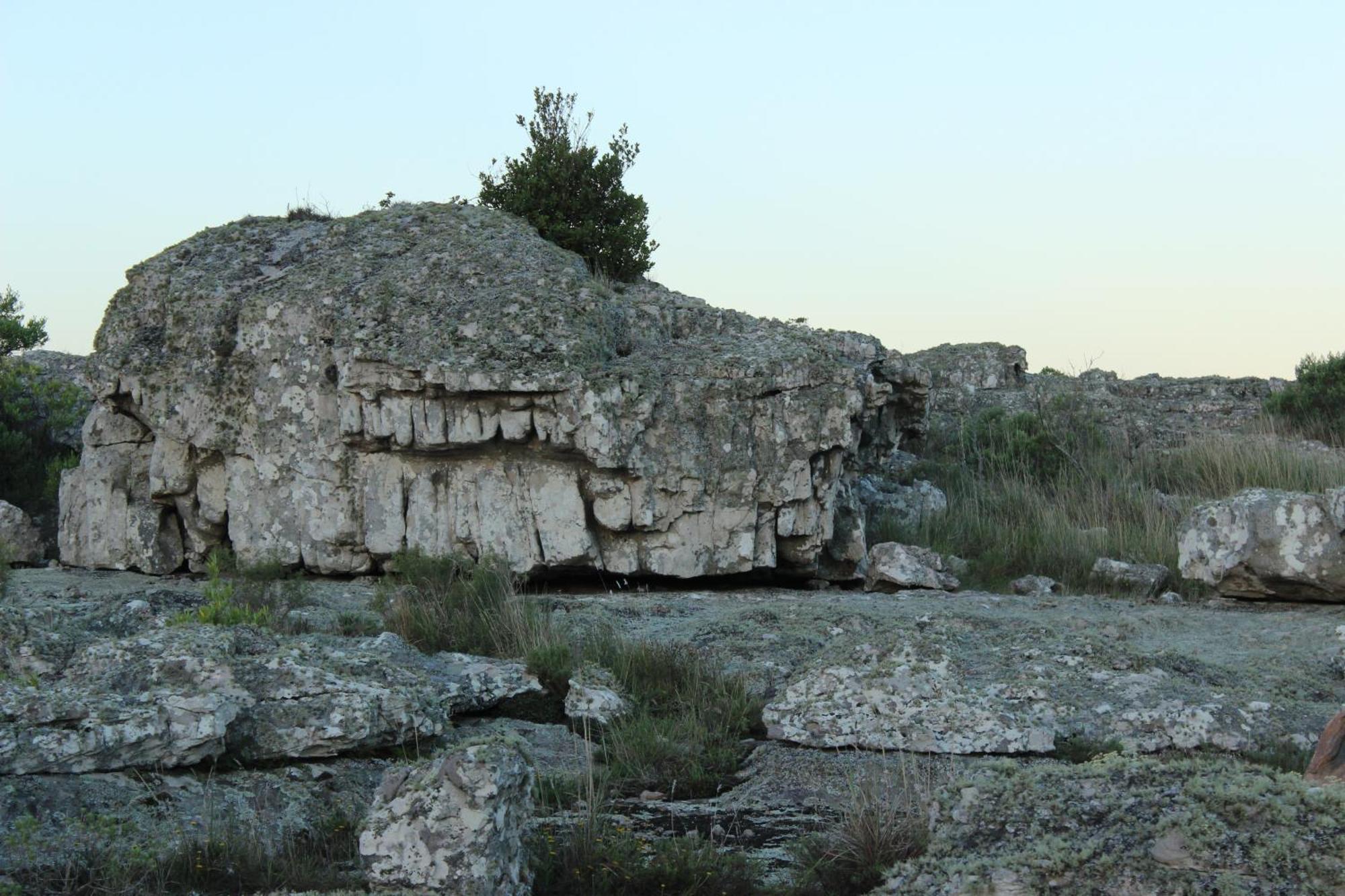 Chalet En Reserva Natural Paititi سييرا دي لوس بادريس المظهر الخارجي الصورة